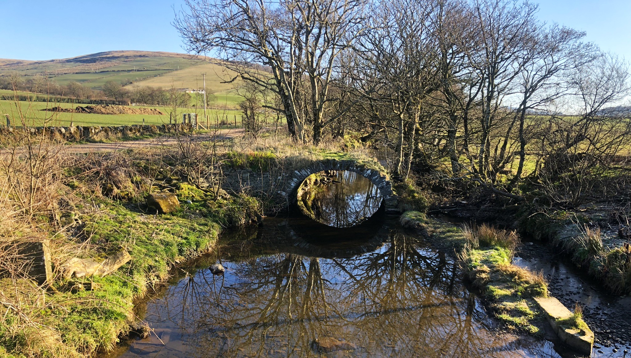 bridge
