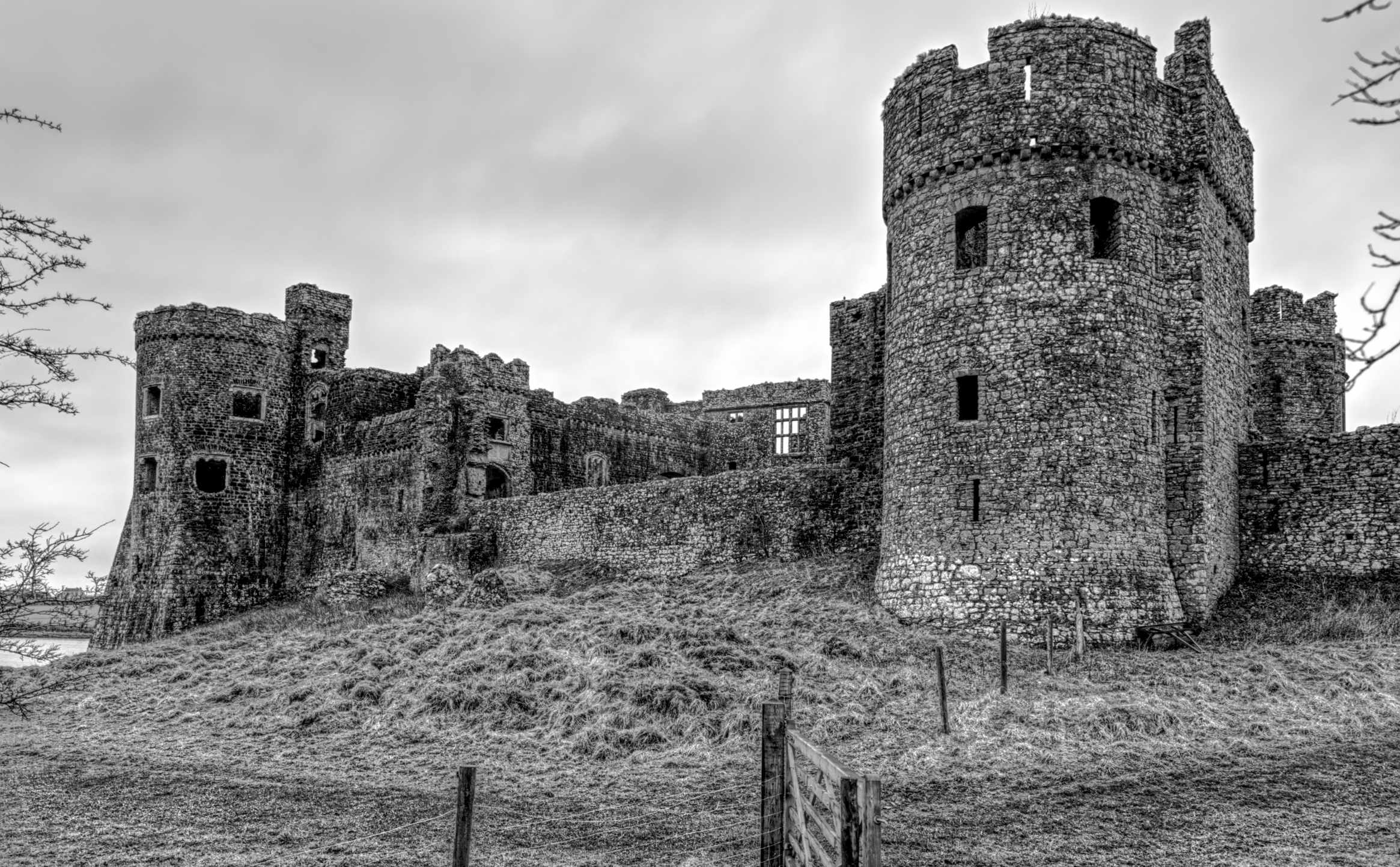 carew