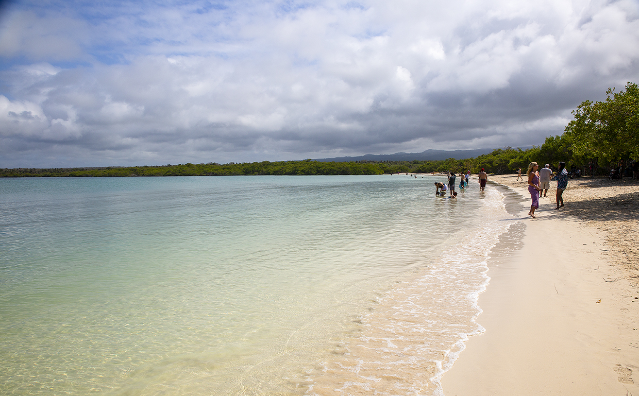 w lagoon a